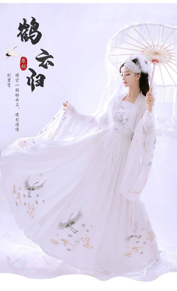 Chinese Ancient Hanfu Women's  - огляд і ціна Embroidery Skirt